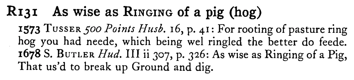 As wise as RINGING of a pig (hog) - a scanned entry from Tilley's 1950 Dictionary of Proverbs.