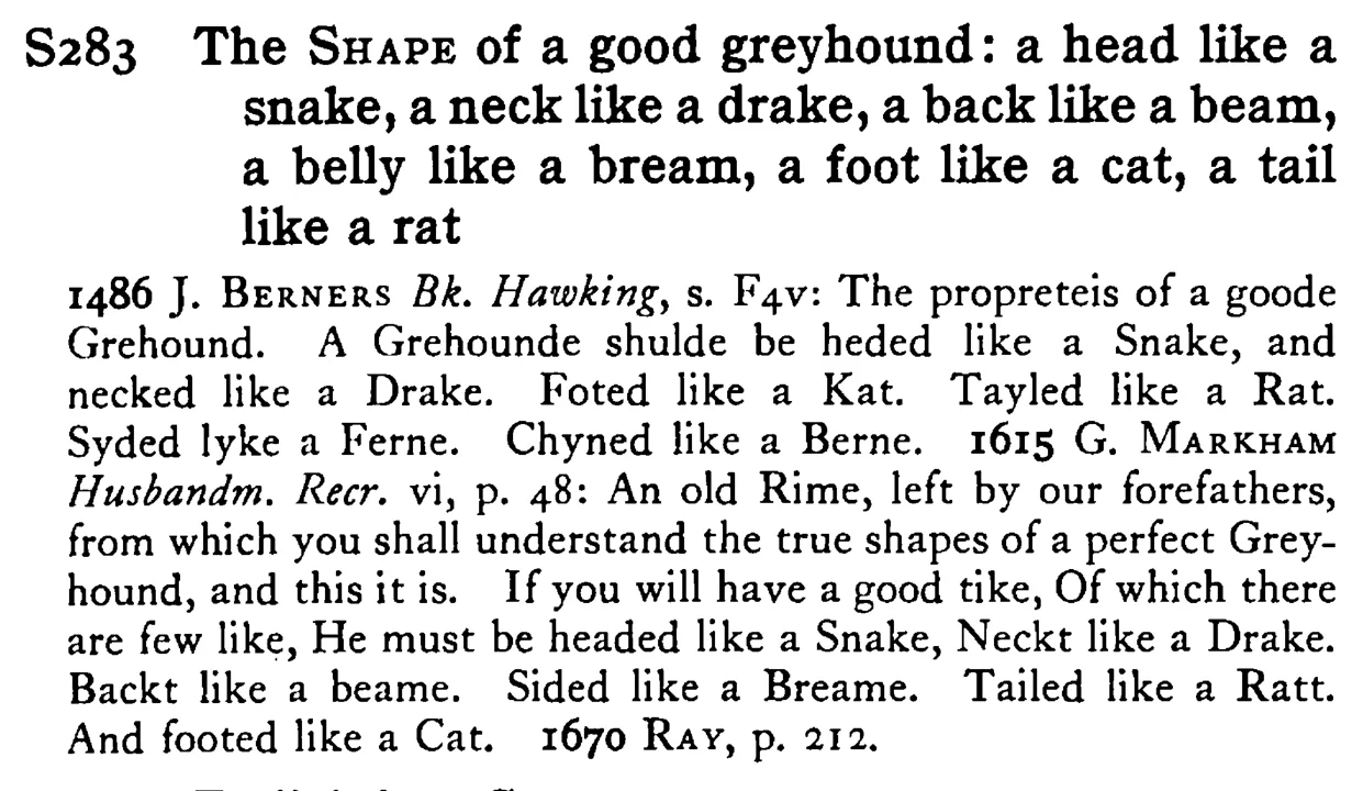 The SHAPE of a good greyhound: a head like a snake, a neck like a drake, a back like a beam, a belly like a bream, a foot like a cat, a tail like a rat - a scanned entry from Tilley's 1950 Dictionary of Proverbs.