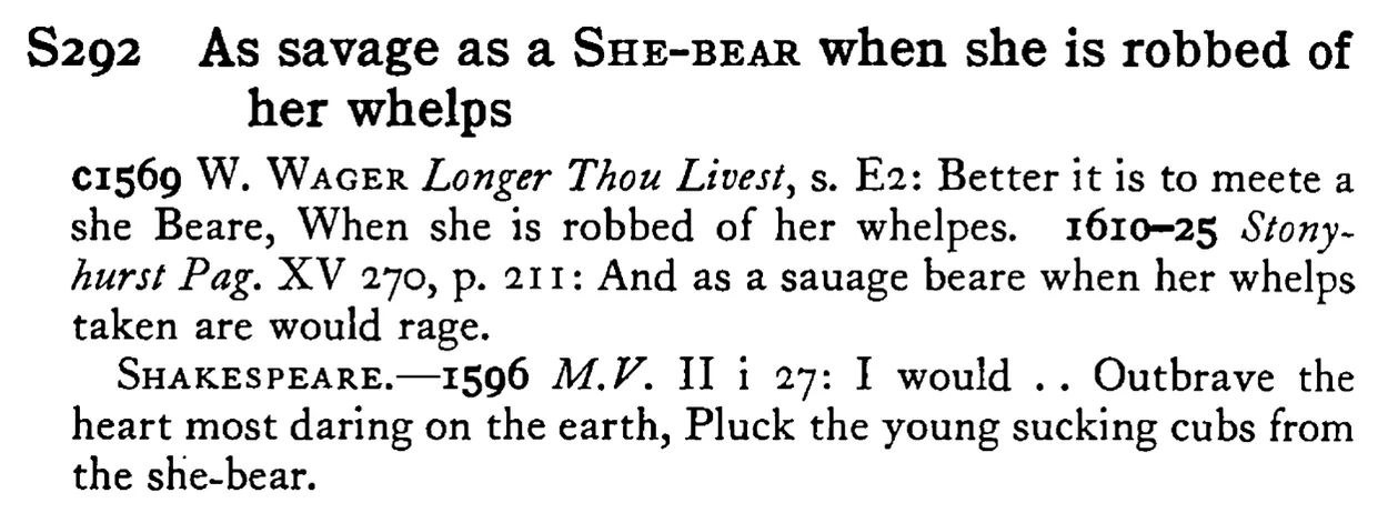 As savage as a SHE-BEAR when she is robbed of her whelps - a scanned entry from Tilley's 1950 Dictionary of Proverbs.