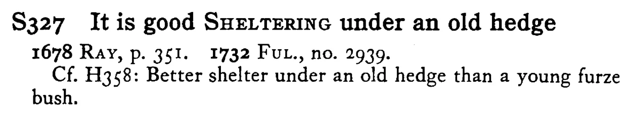 It is good SHELTERING under an old hedge - a scanned entry from Tilley's 1950 Dictionary of Proverbs.