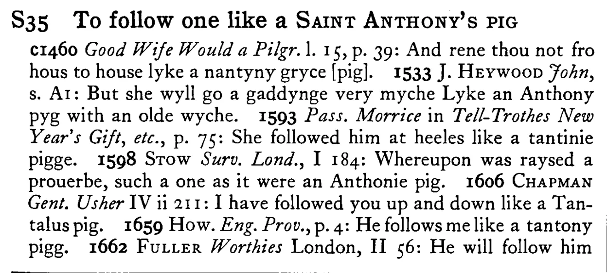 To follow one like a SAINT ANTHONY's PIG - a scanned entry from Tilley's 1950 Dictionary of Proverbs.