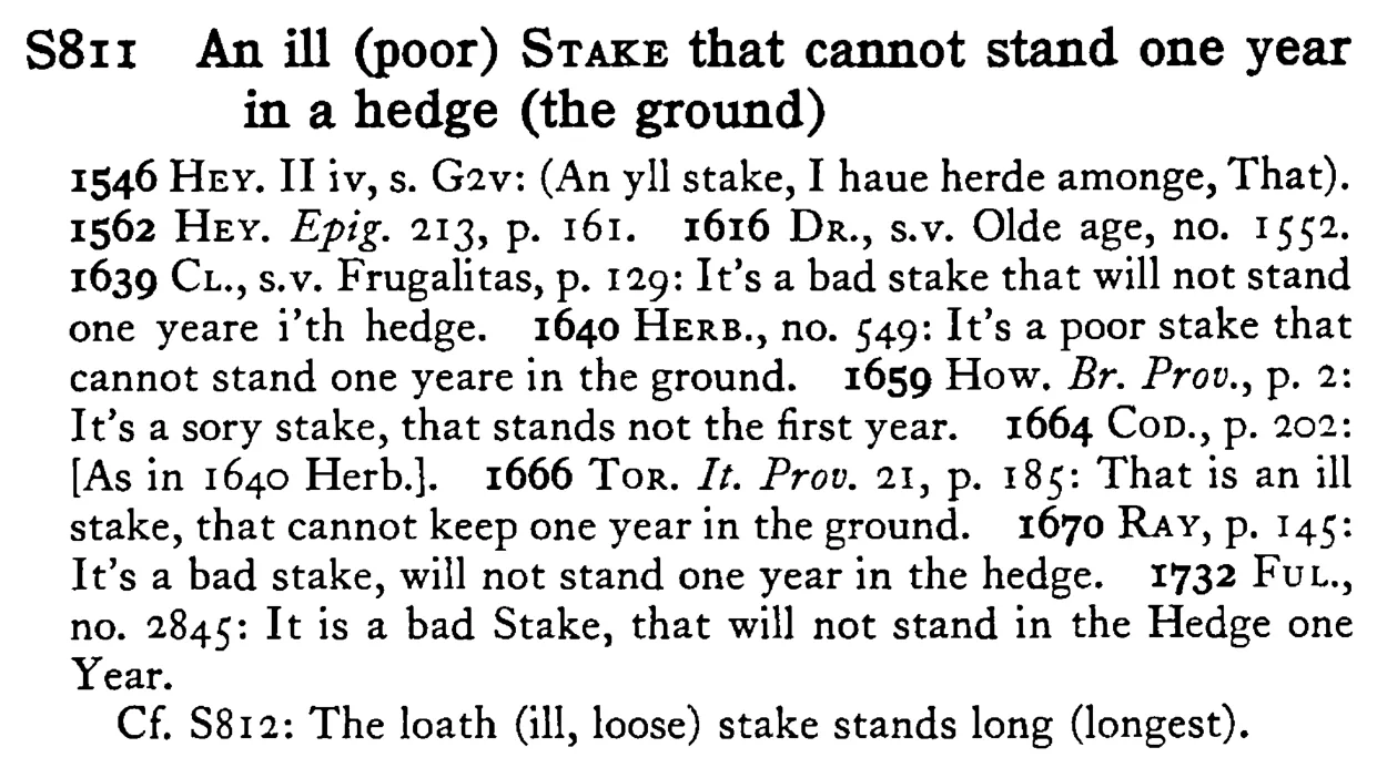 An ill (poor) STAKE that cannot stand one year in a hedge (the ground) - a scanned entry from Tilley's 1950 Dictionary of Proverbs.