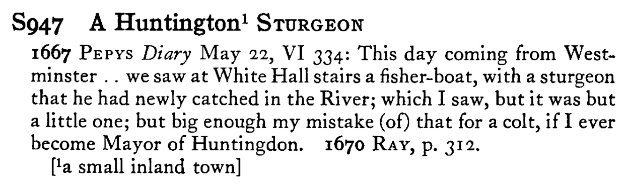 A Huntington¹ STURGEON - a scanned entry from Tilley's 1950 Dictionary of Proverbs.