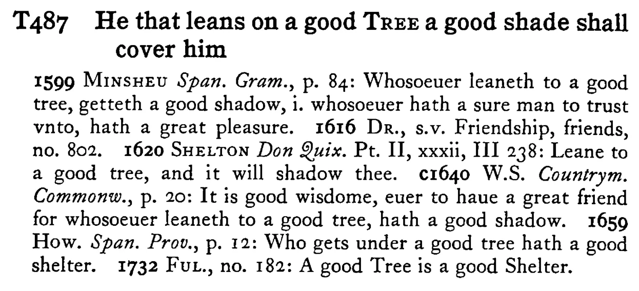 He that leans on a good TREE a good shade shall cover him - a scanned entry from Tilley's 1950 Dictionary of Proverbs.