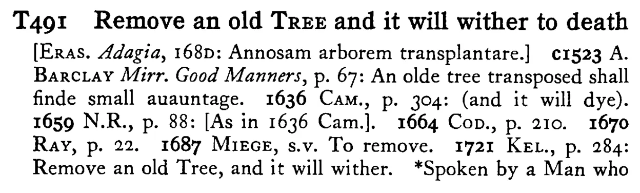 Remove an old TREE and it will wither to death - a scanned entry from Tilley's 1950 Dictionary of Proverbs.
