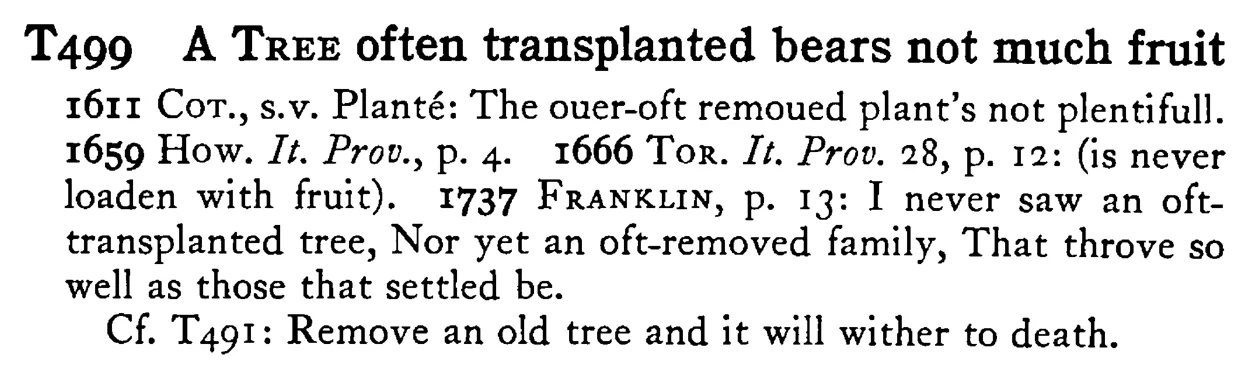 A TREE often transplanted bears not much fruit - a scanned entry from Tilley's 1950 Dictionary of Proverbs.