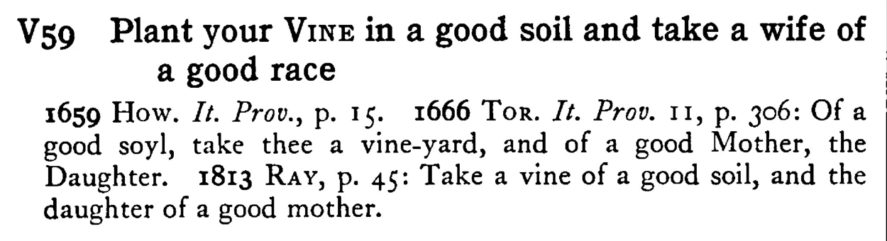 Plant your VINE in a good soil and take a wife of a good race - a scanned entry from Tilley's 1950 Dictionary of Proverbs.
