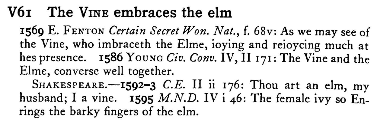 The VINE embraces the elm - a scanned entry from Tilley's 1950 Dictionary of Proverbs.