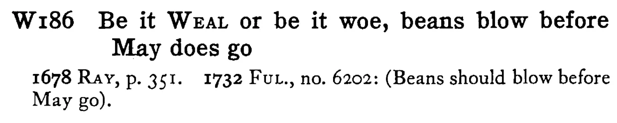Be it WEAL or be it woe, beans blow before May does go - a scanned entry from Tilley's 1950 Dictionary of Proverbs.