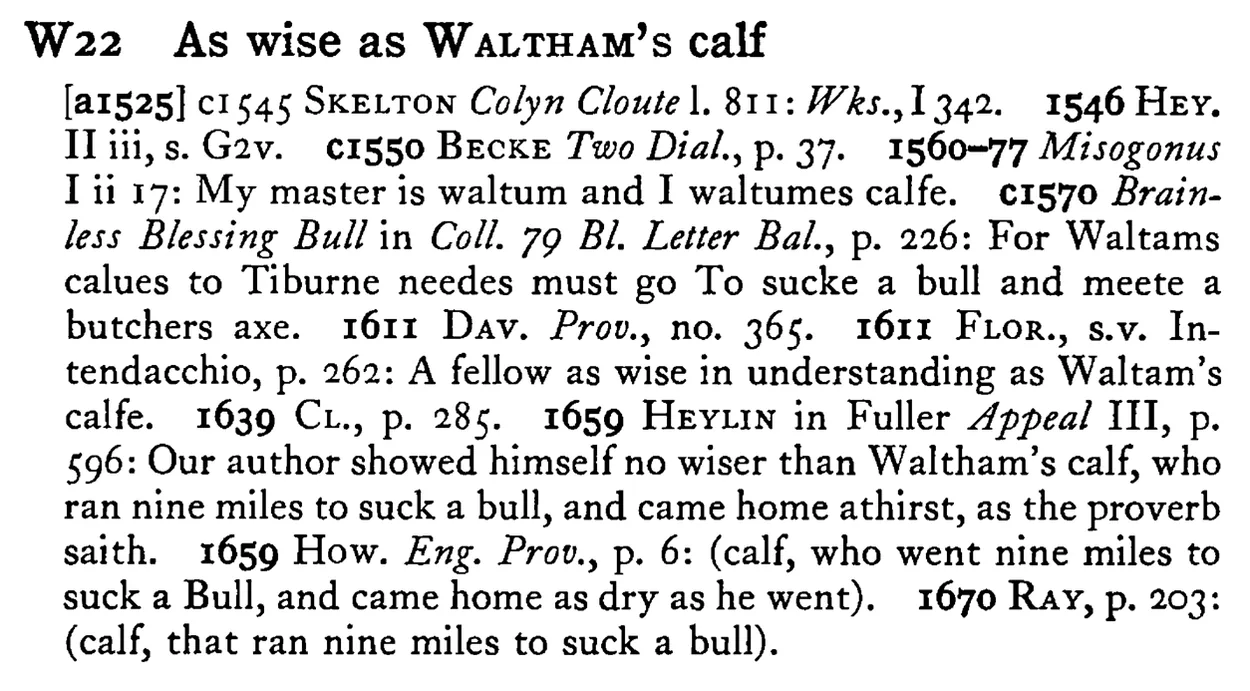 As wise as WALTHAM's calf - a scanned entry from Tilley's 1950 Dictionary of Proverbs.