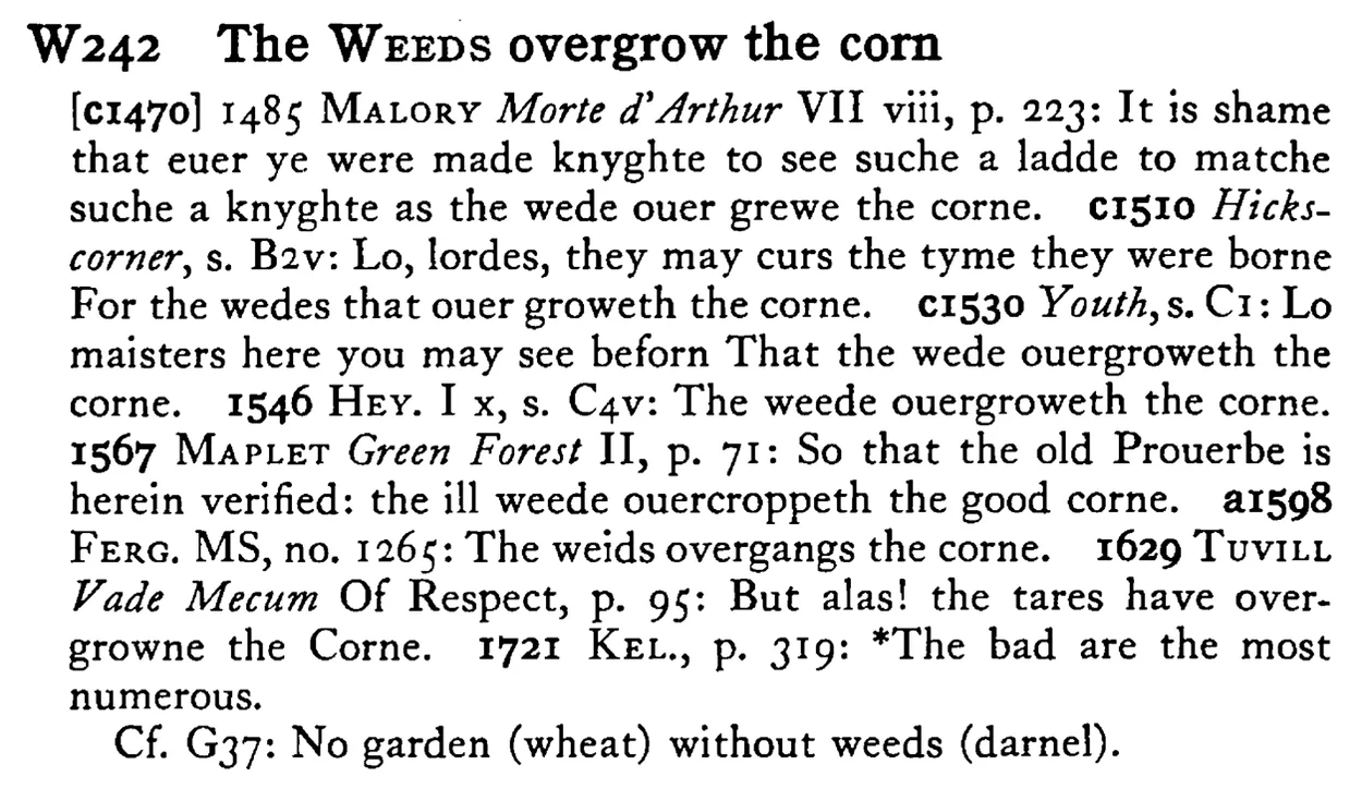 The WEEDS overgrow the corn - a scanned entry from Tilley's 1950 Dictionary of Proverbs.