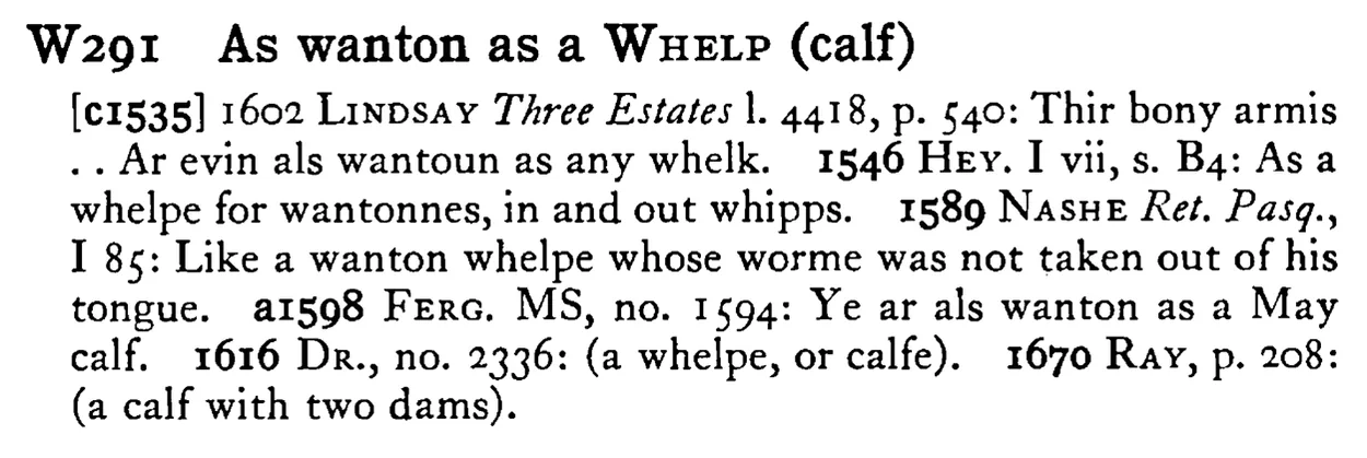 As wanton as a WHELP (calf) - a scanned entry from Tilley's 1950 Dictionary of Proverbs.