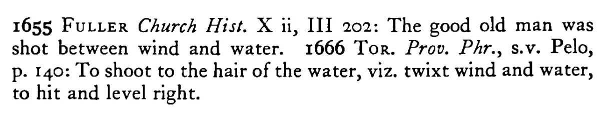To shoot between WIND and water - a scanned entry from Tilley's 1950 Dictionary of Proverbs. (continuation)