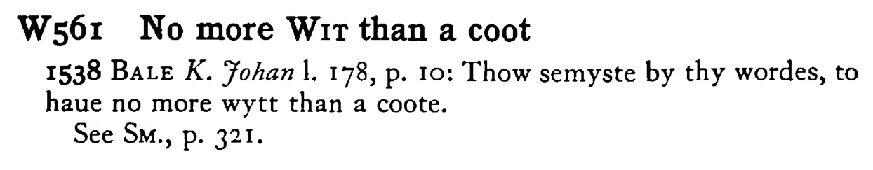 No more WIT than a coot - a scanned entry from Tilley's 1950 Dictionary of Proverbs.